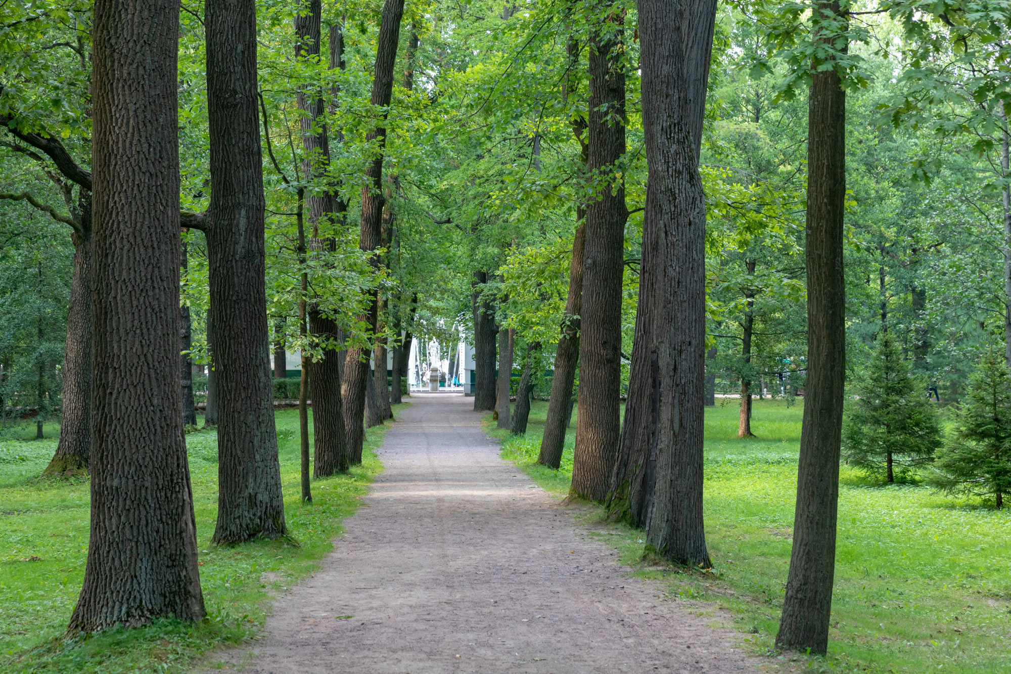 Peterhof (Петергоф, Петродворец)